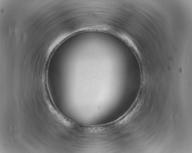 X0000062170952200512091427