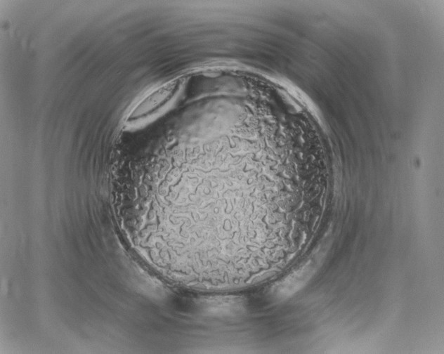 X0000062170953200512091427