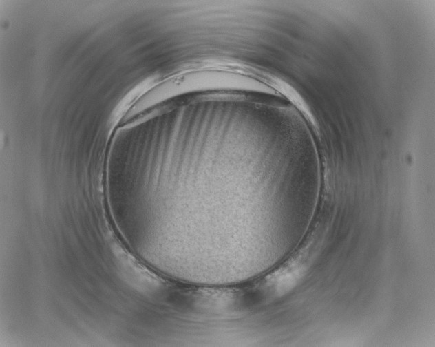 X0000062170954200512091427