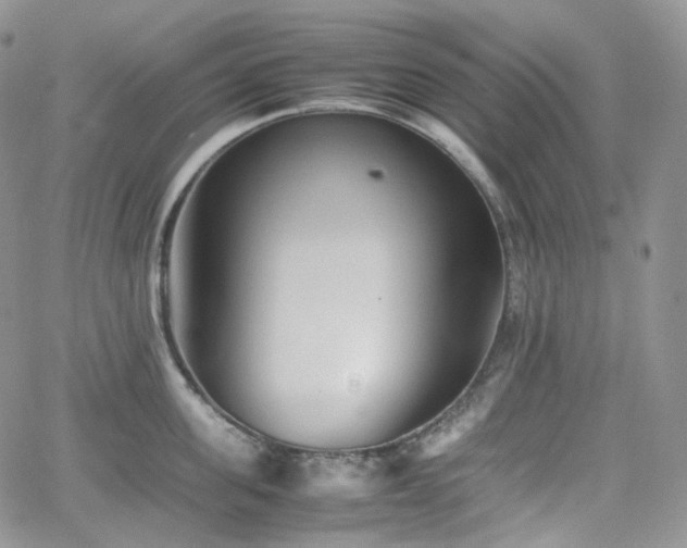 X0000062170955200512091427