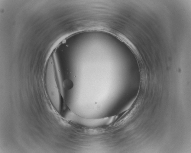 X0000062170956200512091427