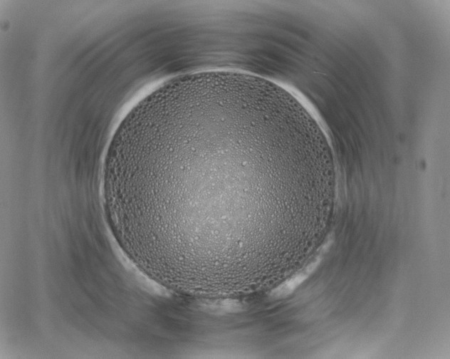 X0000062170957200512091427