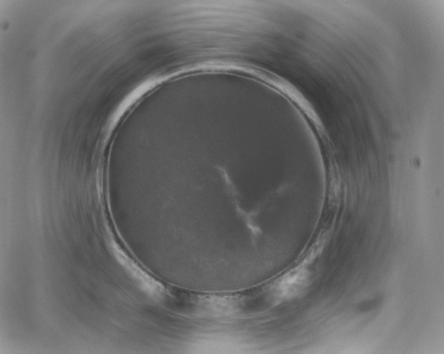 X0000062170958200512091427