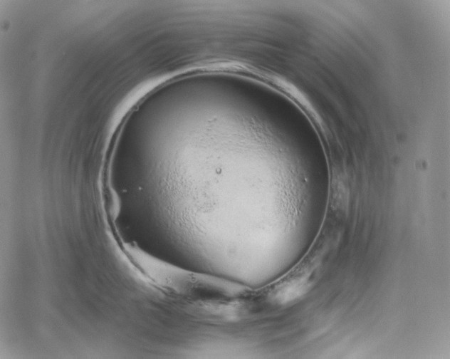 X0000062170959200512091427