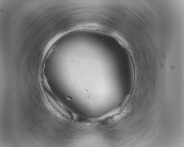 X0000062170960200512091427