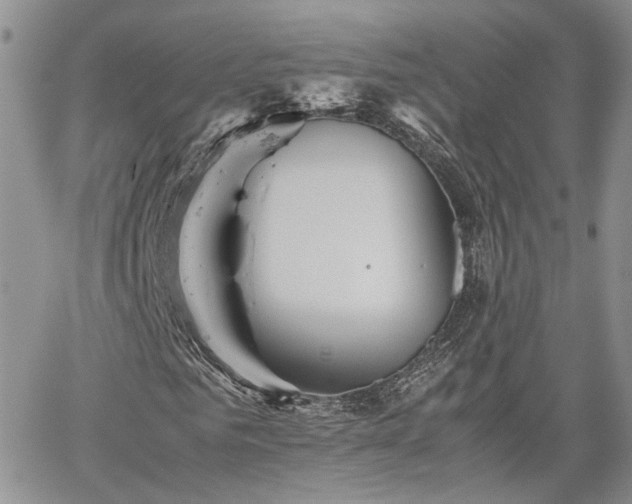 X0000062170961200512091426