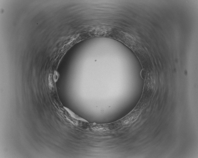 X0000062170962200512091426