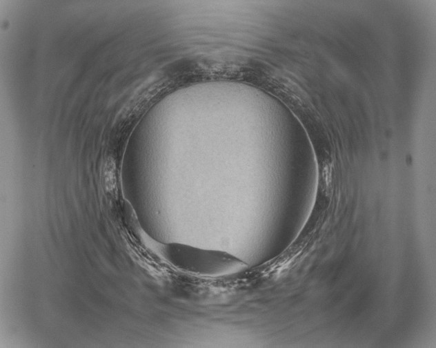 X0000062170963200512091426