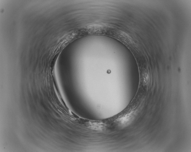 X0000062170964200512091426