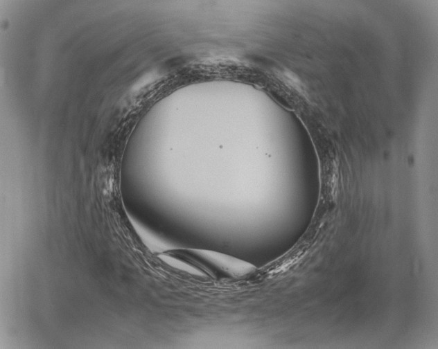 X0000062170965200512091426