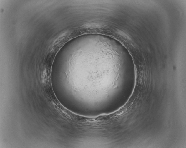 X0000062170966200512091426