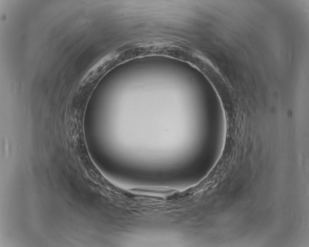 X0000062170967200512091426