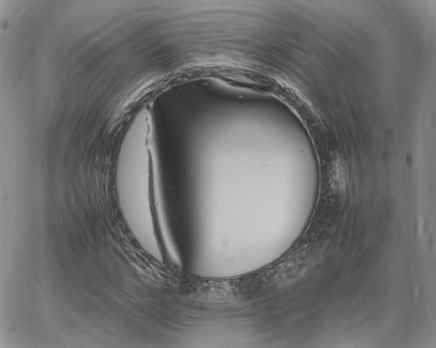 X0000062170968200512091426