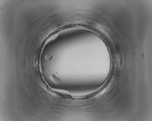 X0000062170969200512091426