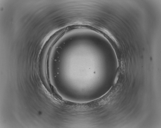 X0000062170972200512091426