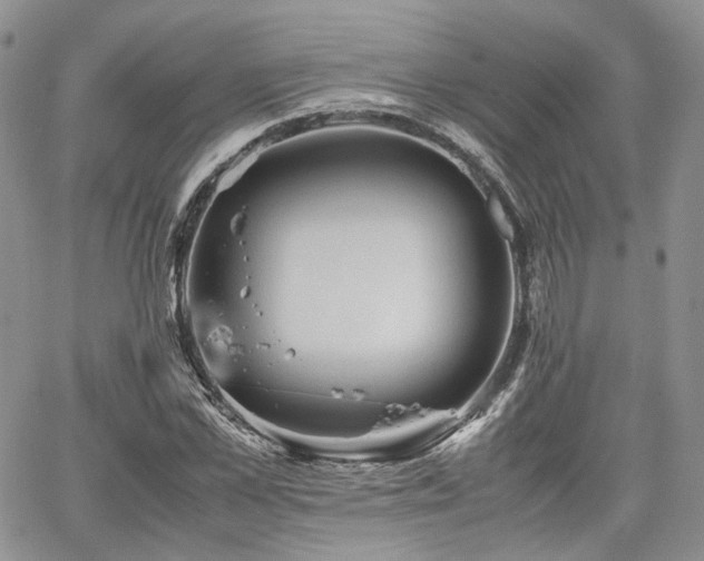 X0000062170973200512091426