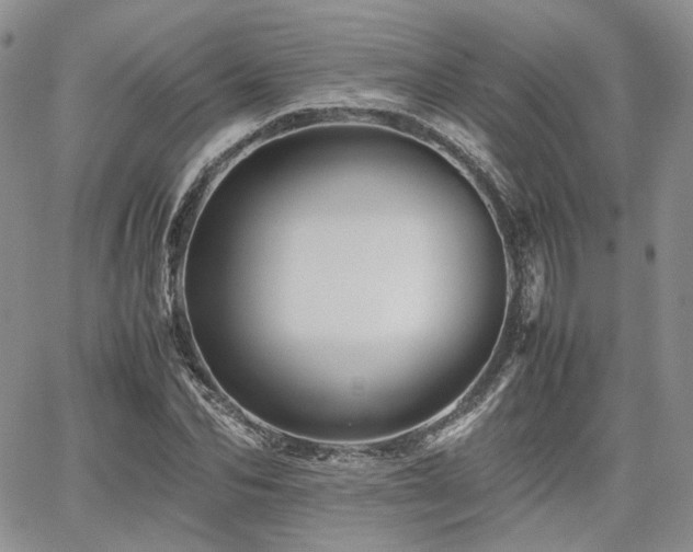 X0000062170974200512091426