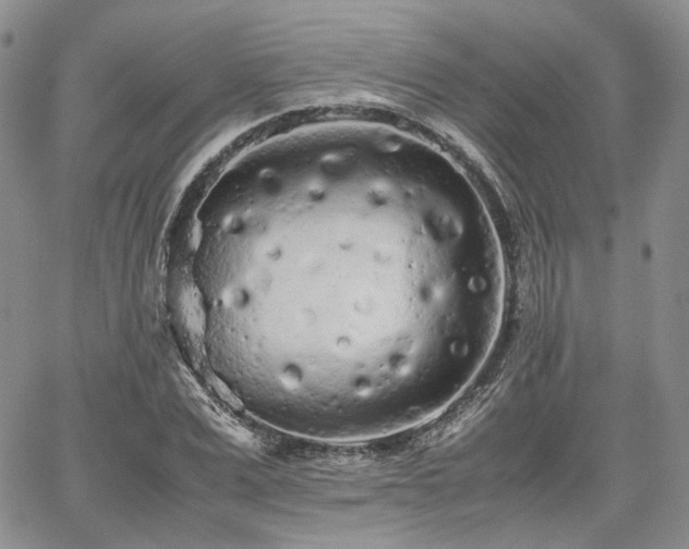 X0000062170975200512091426