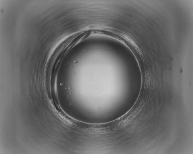 X0000062170976200512091426