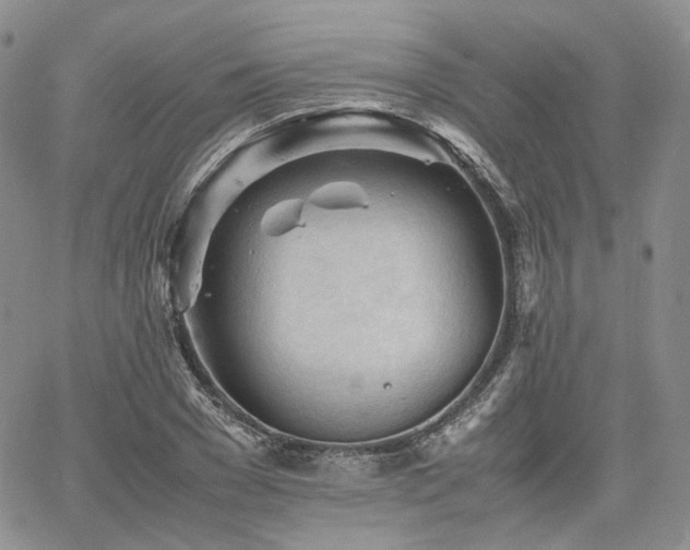 X0000062170977200512091426