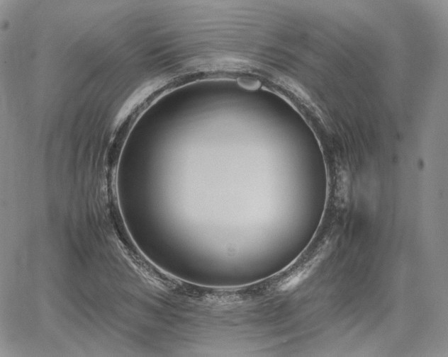 X0000062170978200512091426