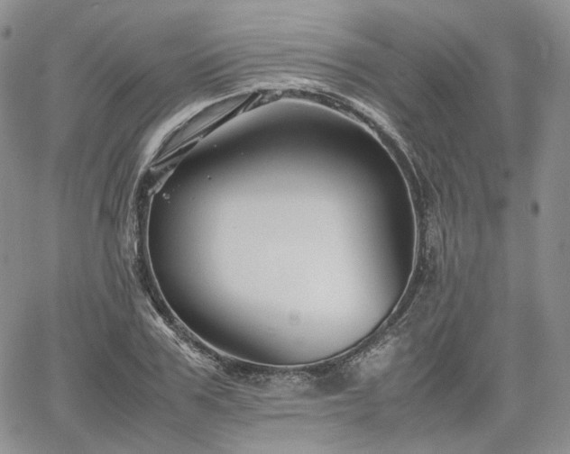 X0000062170979200512091426