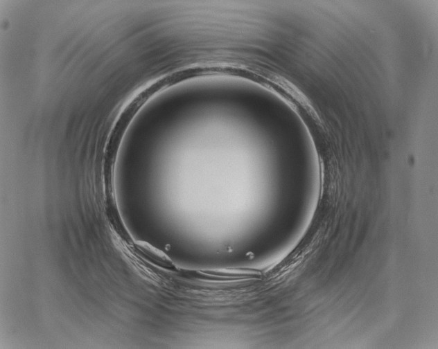 X0000062170980200512091426