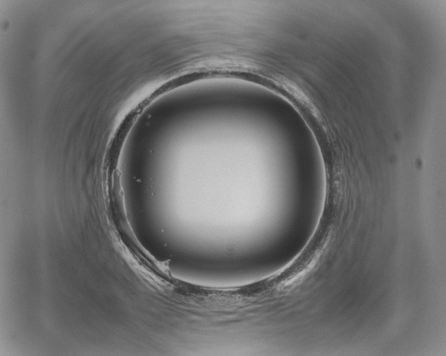 X0000062170981200512091426