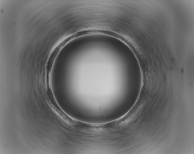 X0000062170982200512091426