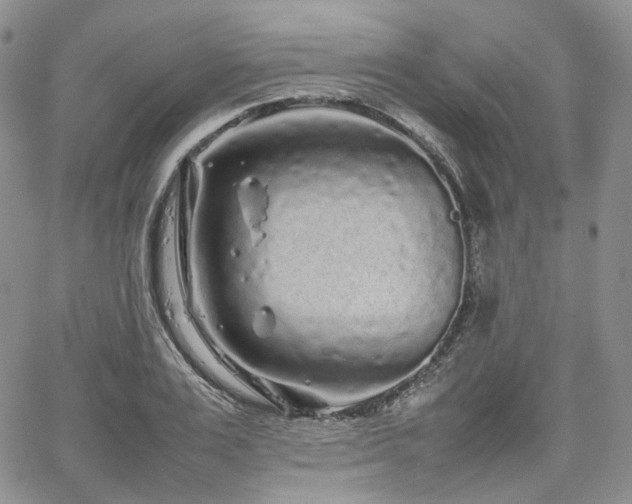 X0000062170983200512091425