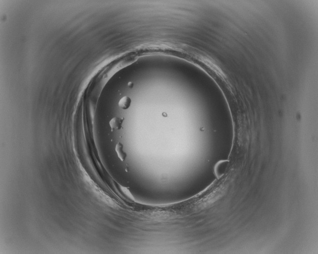 X0000062170984200512091425