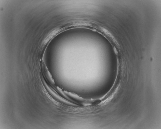 X0000062170985200512091425