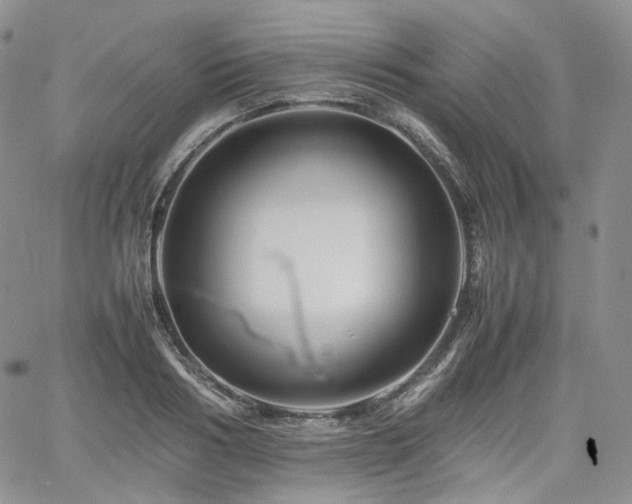 X0000062170986200512091425