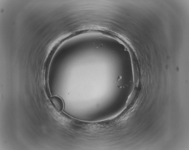 X0000062170987200512091425