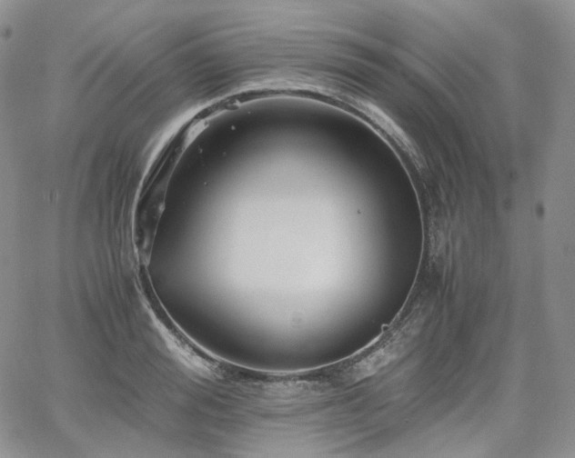 X0000062170988200512091425