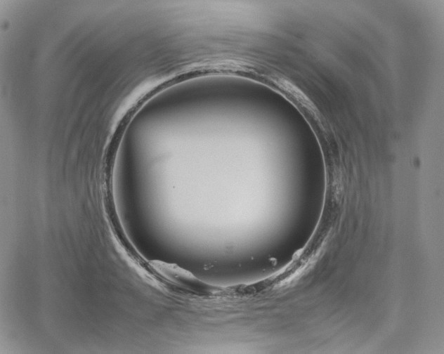 X0000062170989200512091425