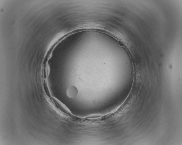 X0000062170990200512091425