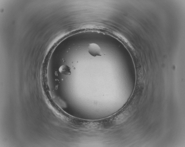 X0000062170991200512091425