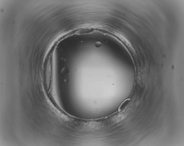 X0000062170992200512091425