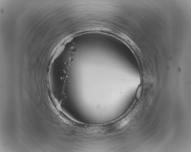 X0000062170993200512091425