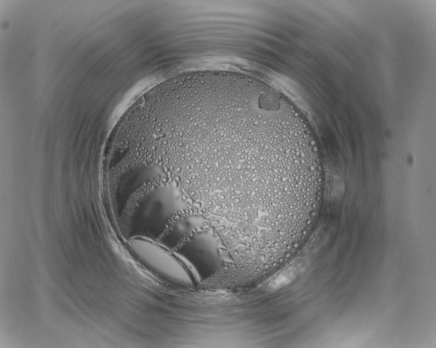 X0000062170994200512091425