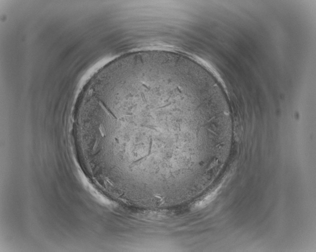 X0000062170995200512091425