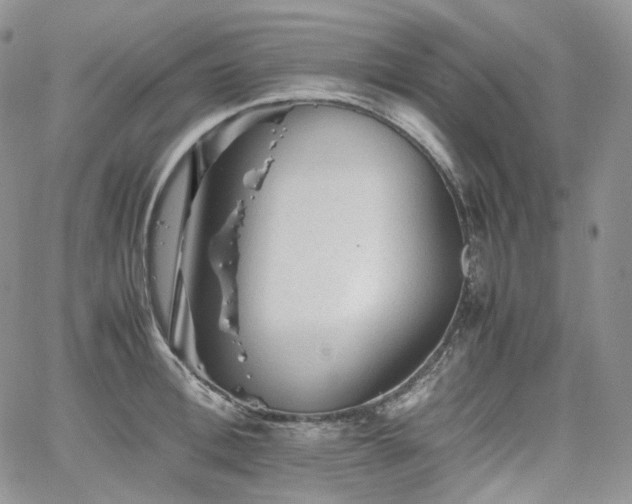 X0000062170996200512091425