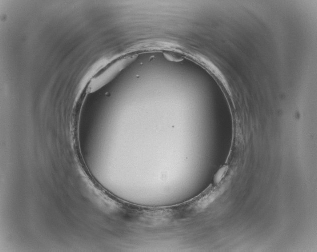 X0000062170997200512091425