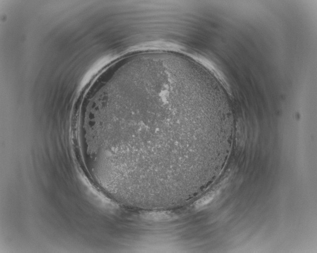 X0000062170998200512091425