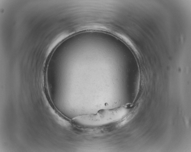 X0000062170999200512091425