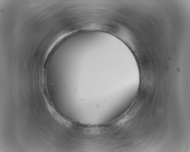 X0000062171000200512091425