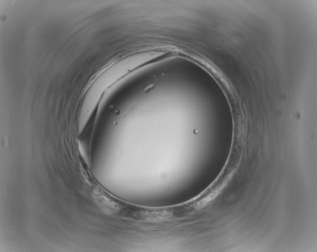 X0000062171001200512091425