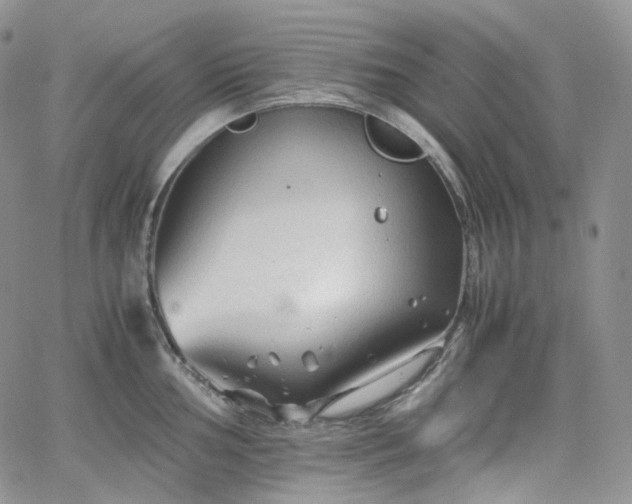 X0000062171002200512091425