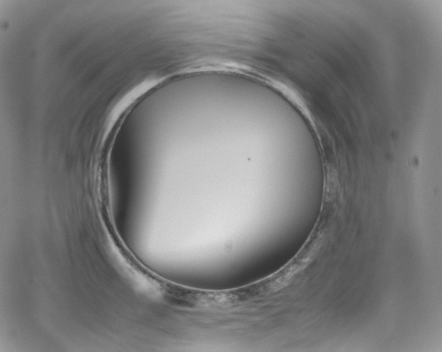 X0000062171003200512091425